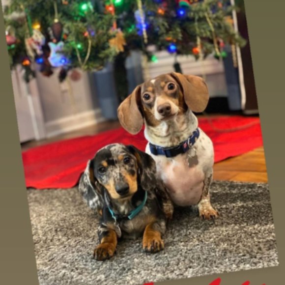 Meet your Posher, Debbie - Picture 4 of 4